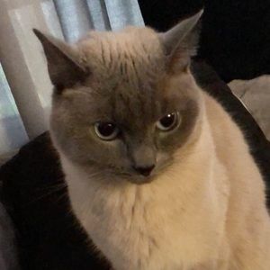 Meet your Posher, Aida